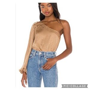 Show Me Your Mumu One Shoulder Balloon Sleeve Copper Cheetah Crop Top Si…